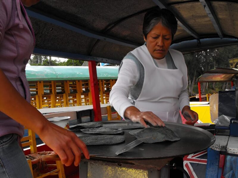 Xochimilco Tour: Explore All Around the Awesome Town - Itinerary Highlights