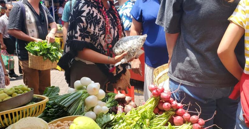 Xochimilco's Market, Food and Nature! All Included! - Experience Highlights