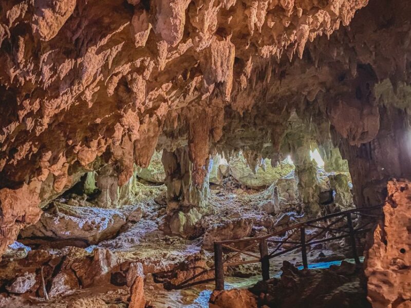 Xtun Cenote Underground Caverns Tour & Open Cenote Swim - Highlights and Experience