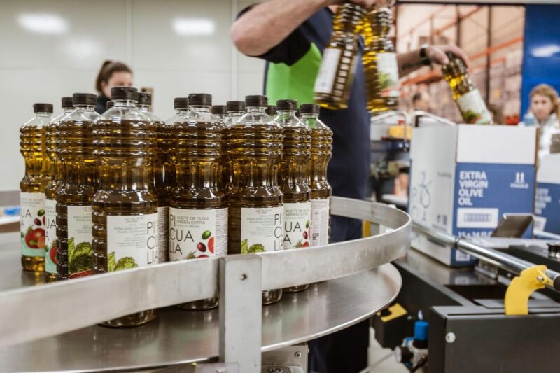 XXI Century Olive Oil Mill Tour - Key Points