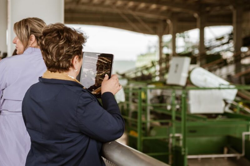 XXI Century Olive Oil Mill Tour - Experience Highlights
