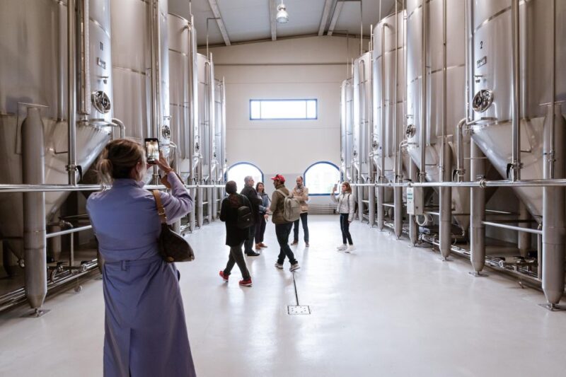 XXI Century Olive Oil Mill Tour - Reservation and Cancellation