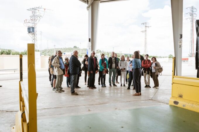 XXI Century Olive Oil Mill Tour - Recap