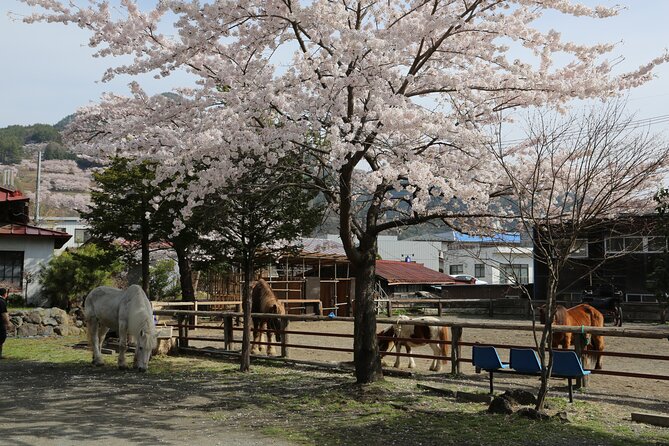 Yabusame Adventure With Mt. Fuji Views - Explore the Historical Fujisan Simomiya Omuro Sengen Jinja