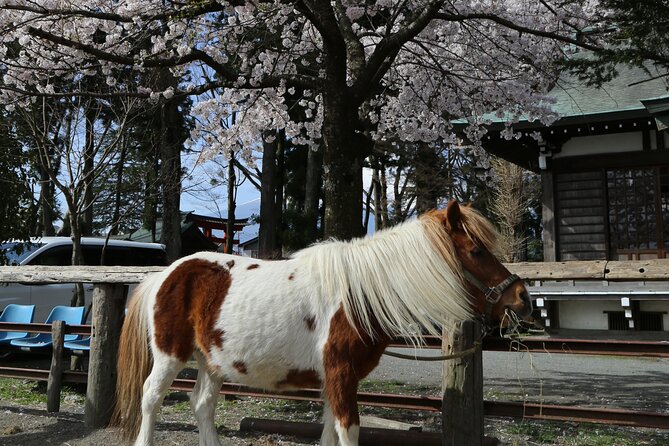 Yabusame Adventure With Mt. Fuji Views - Booking and Cancellation Policy