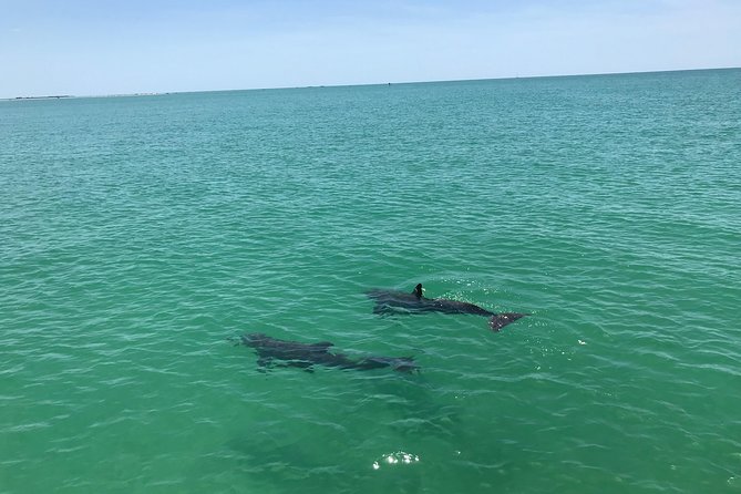 Yacht Charter Madeira Beach and Tampa Bay - Meeting and Pickup Details