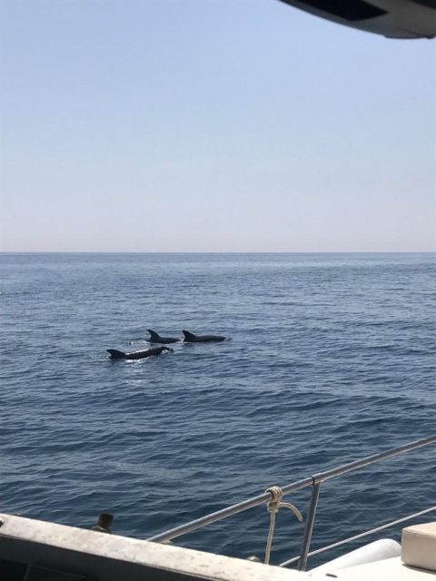 Yacht Cruise With a Spacious Sundeck + Dolphin Watching - Pricing