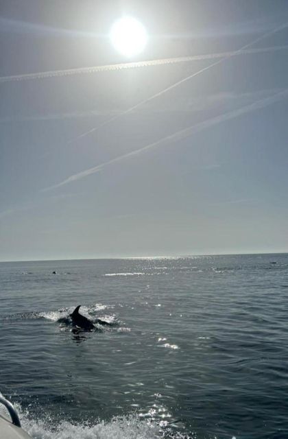 Yacht Cruise With a Spacious Sundeck + Dolphin Watching - Cancellation Policy