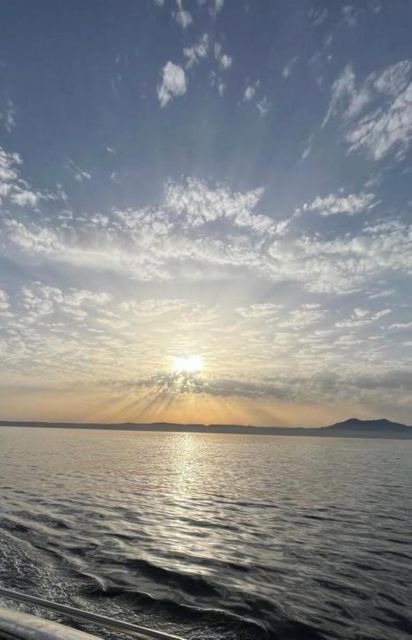 Yacht Cruise With a Spacious Sundeck + Dolphin Watching - Dolphin Watching