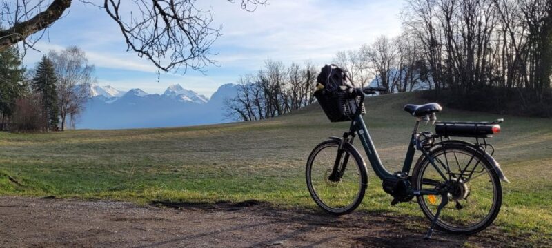 Yakapedaler: Scenic Rent-A-Bike Tour of Lake Annecy - Tasting Local Delights at the Rental Shop