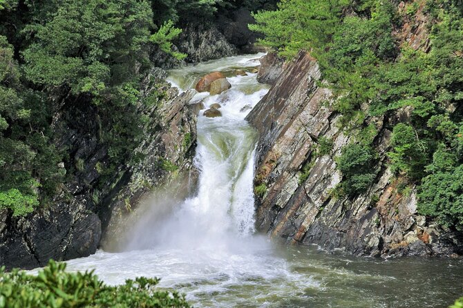 Yakushima Private Island Sights Tour With English Speaking Guide - Weather Conditions