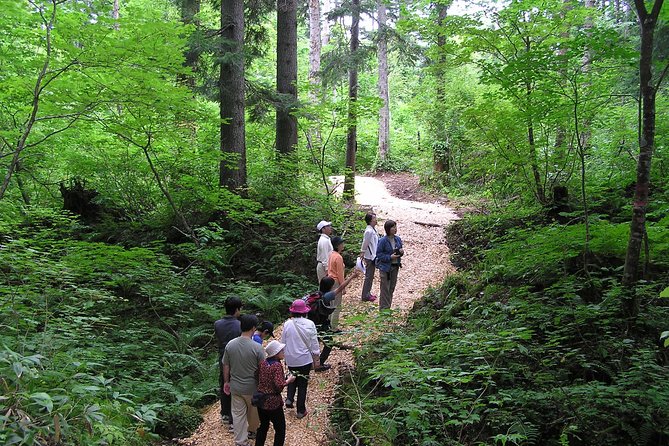 Yakusugi Cedar Forest Walking Tour on Yakushima Island - Inclusions