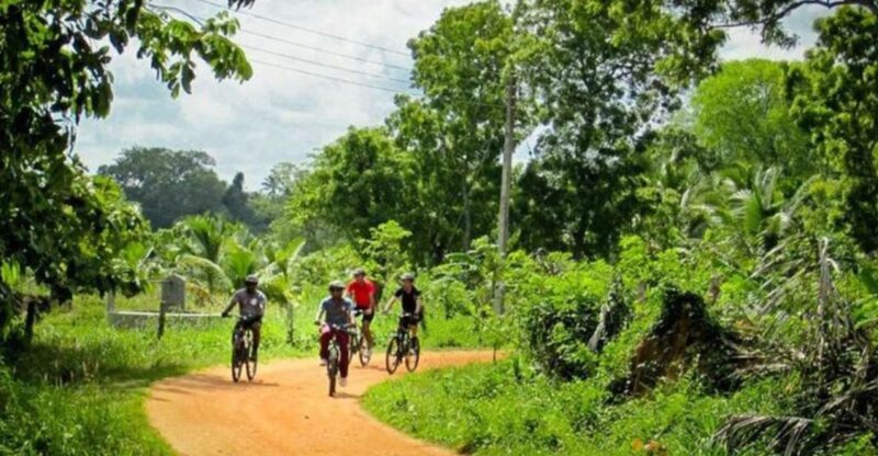 Yala: Cycling Expedition! - Explore Yala Village