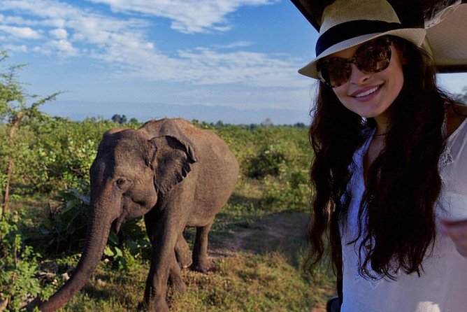 Yala Full Day Leopard Safari Tour With Picnic Lunch - Included in the Tour