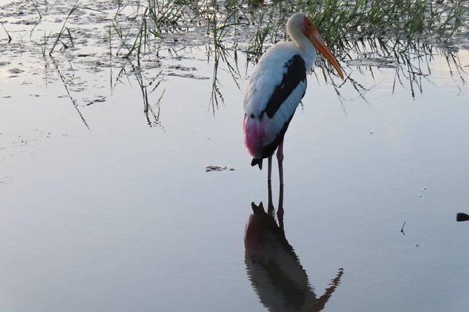Yala Full Day Private Tour and Safari From Colombo or Negombo - Cancellation and Payment