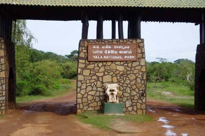 Yala Full Day Private Tour and Safari From Colombo or Negombo - Pricing and Guarantee