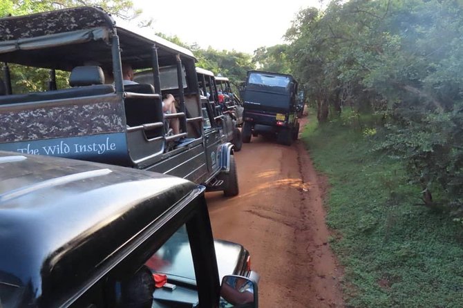 Yala Full Day Private Tour and Safari From Colombo or Negombo - Tour Booking