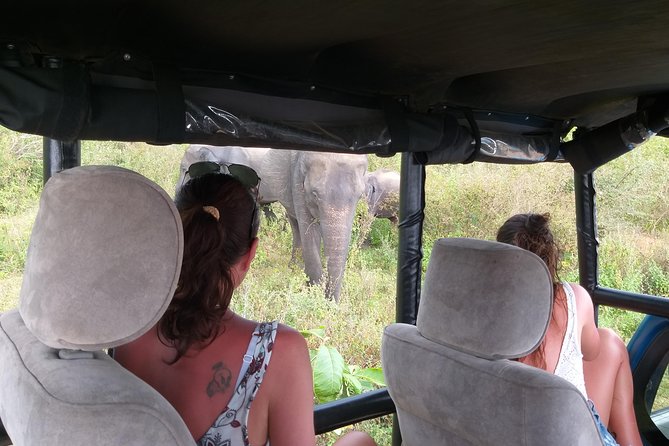 Yala Half Day Safari - Pricing and Cancellation Policy