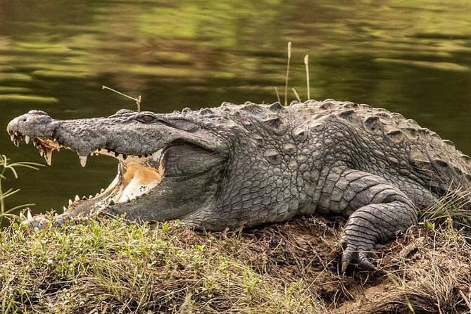 Yala Half Day Safari - Getting to Yala National Park