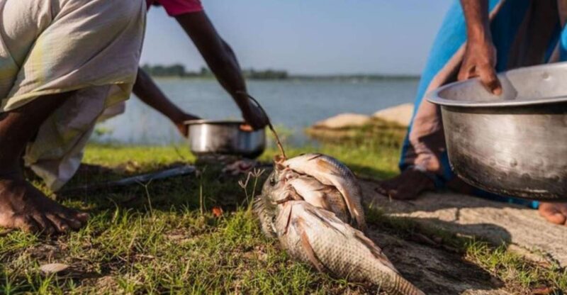 Yala: Lake Fishing and Village Dining Tour! - Experience Highlights