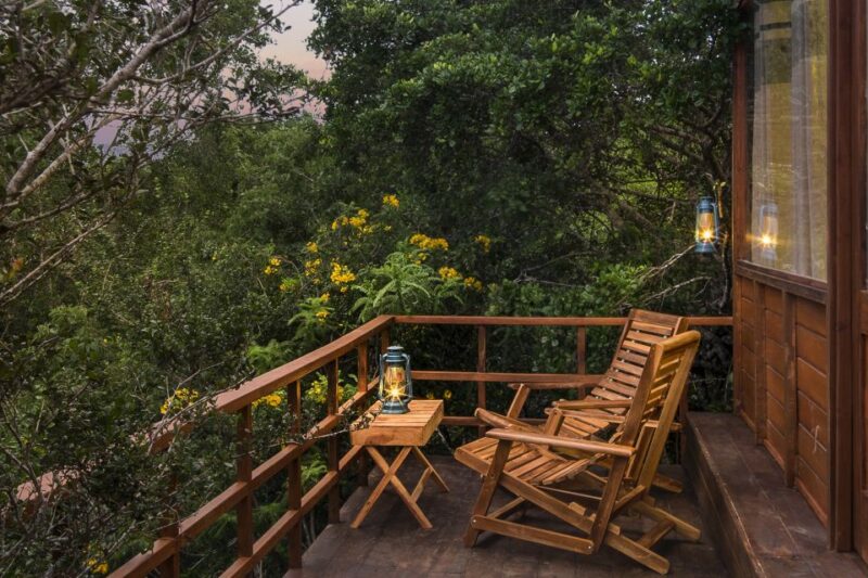 Yala National Park All-Inclusive 2-Day Safari - Inclusions and Pricing