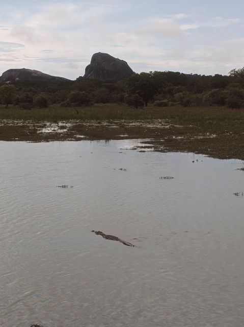 Yala National Park & Birds Park From Galle/Weligama/Mirissa - Key Points