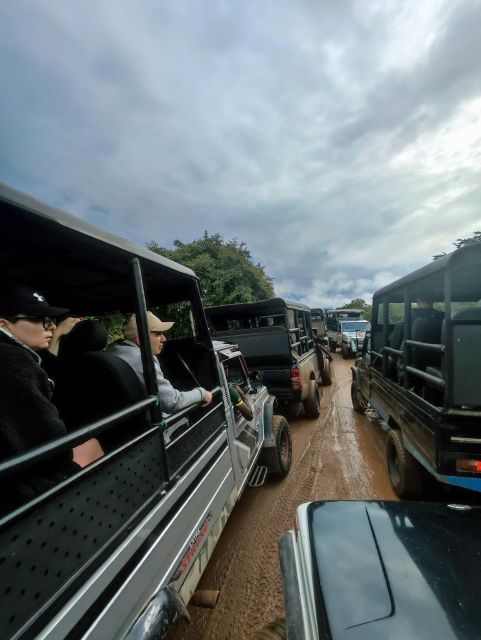 Yala National Park & Birds Park From Galle/Weligama/Mirissa - Frequently Asked Questions