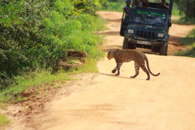Yala National Park Budget Safari - Frequently Asked Questions