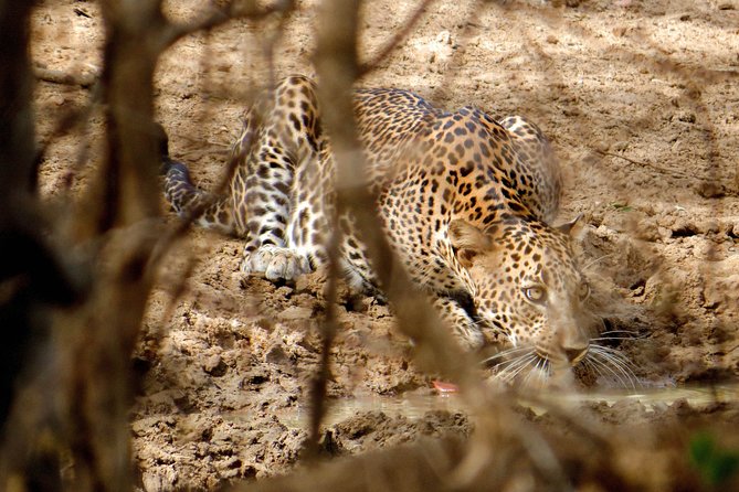 Yala National Park Entrance Ticket - Inclusions and Exclusions