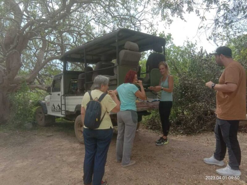 Yala National Park Full Day Safari - Tour Details