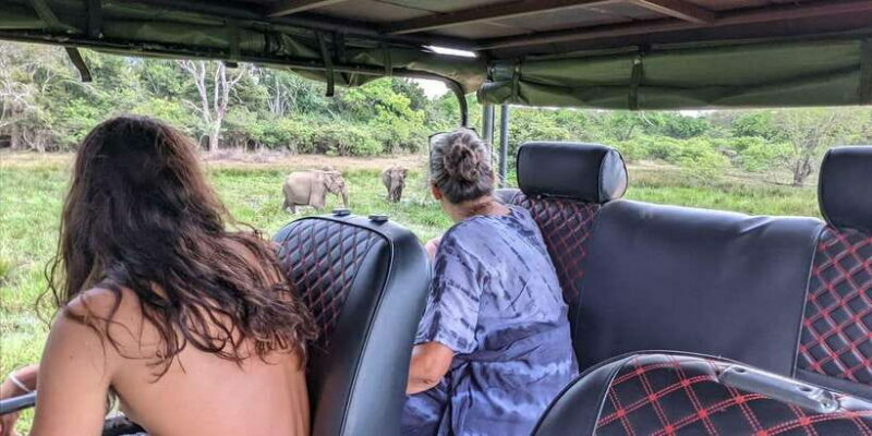 Yala National Park : Full Day Safari(04:30-18:00) - Key Points