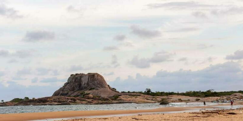 Yala National Park: Half, 7-Hour, or Full-Day Safari & Meals - Key Points