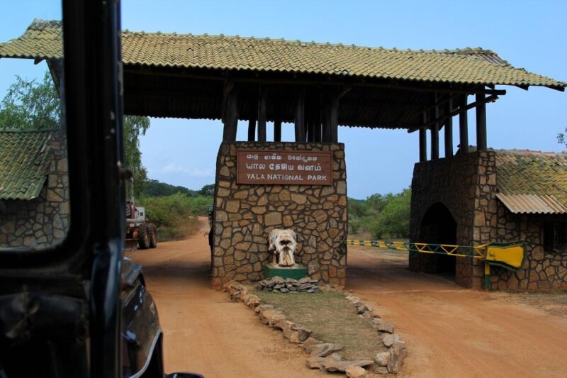 Yala National Park: Leopard Safari Day Tour From Colombo - Included Highlights