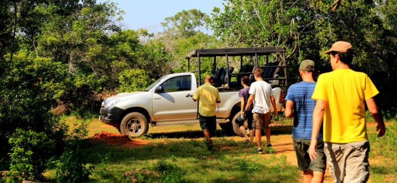 Yala National Park: Leopard Safari Full Day Tour With Lunch - Safari Experience