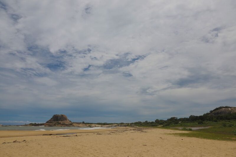 Yala National Park: Leopard Safari Full Day Tour With Lunch - Participant Suitability