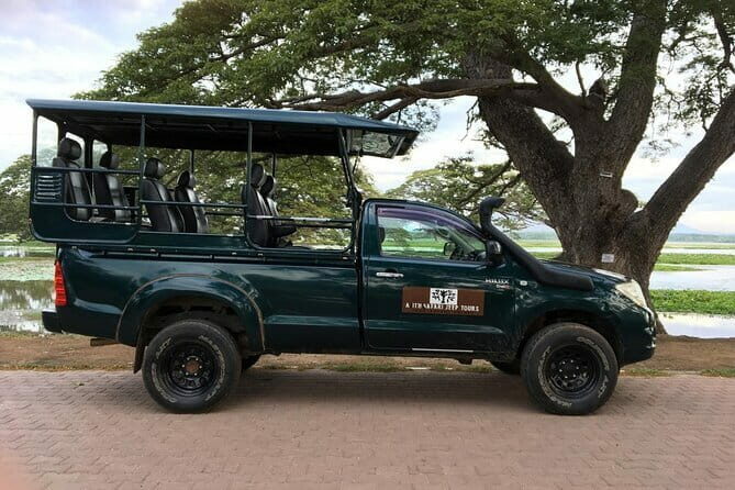 Yala National Park Morning or Afternoon Leopard Safari - The Sum Up: Is This Safari Right for You?