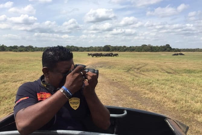 Yala National Park Private Jeep Safari From Colombo & Negombo - Convenient Transportation