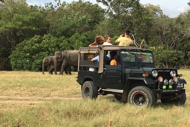 Yala National Park Private Jeep Safari From Colombo & Negombo - Knowledgeable Guides