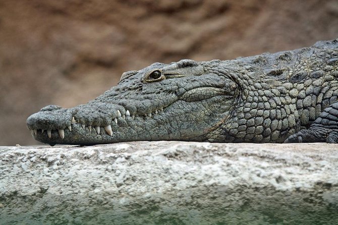 Yala National Park Private Safari (All Inclusive) From Mirissa - Itinerary and Schedule