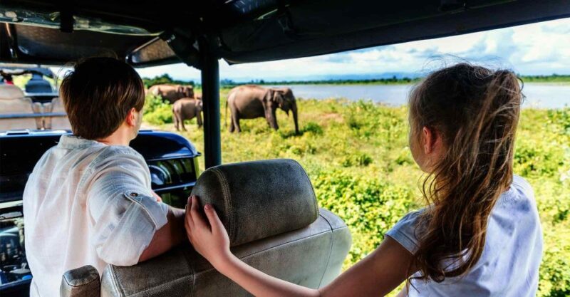 Yala National Park: Private Safari at Dawn or Dusk - Safari Tour Options