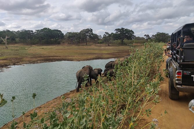 Yala National Park Safari From Bentota - Tour Inclusions