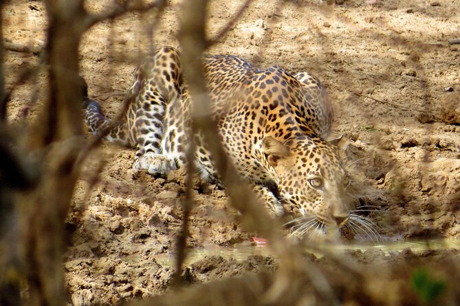 Yala National Park Safari From Galle - Getting to Yala National Park