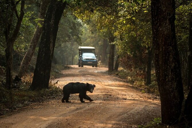 Yala National Park Safari From Galle - Cultural Insights and Discoveries