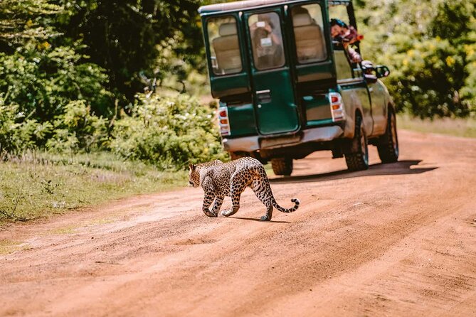 Yala National Park Safari From Galle - Memorable Moments and Reflections