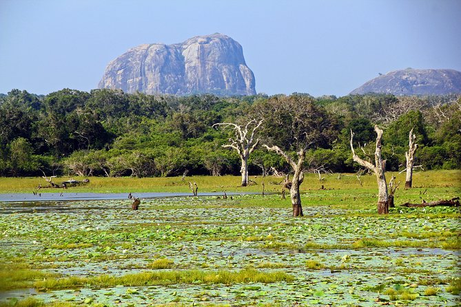 Yala National Park Safari From Hikkaduwa - Pickup and Start Time