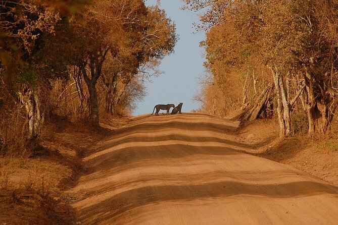 Yala National Park Safari From Hikkaduwa - Additional Information