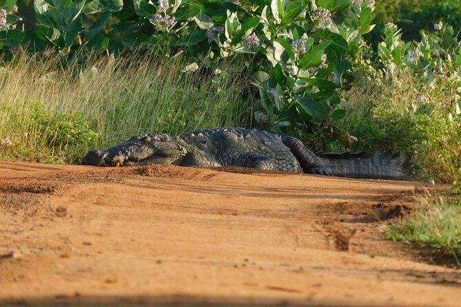 Yala National Park Safari From Mattala AirPort & Hambantota Port - What to Bring