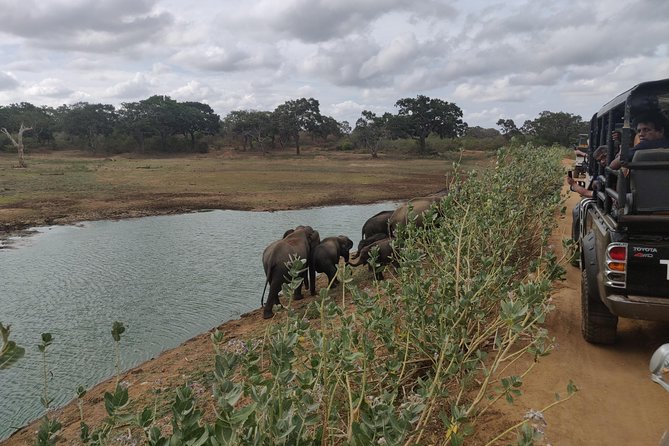 Yala National Park Safari From Mirissa - Tour Suitability
