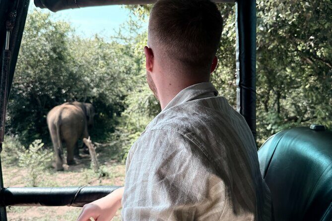 Yala National Park Safari FULLDAY and HALFDAY Expert Guided Tour - A Practical Guide to the Yala Safari Experience