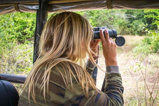 Yala National Park Safari - Half day and Full day - Why This Safari is a Great Value